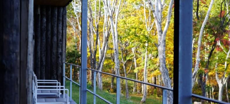 坐忘林旅馆(Zaborin)图片