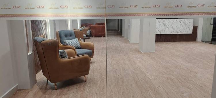 CLAY管理的骆驼酒店(Hotel Camel managed by CLAY)图片