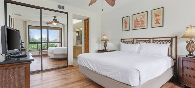 奥瑞格科哈拉海岸度假短租共管公寓(Kohala Coast Vacation Rental by Outrigger)图片