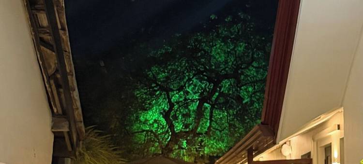 印楝树之家(Neem Tree House, Trincomalee)图片
