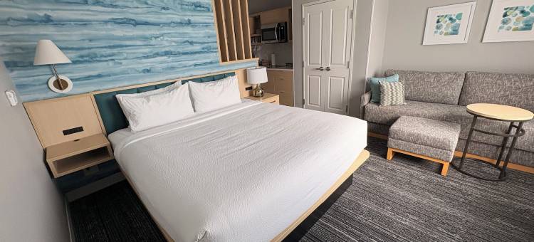 万豪TownePlace Suites 酒店佩尔城(TownePlace Suites by Marriott Pell City)图片