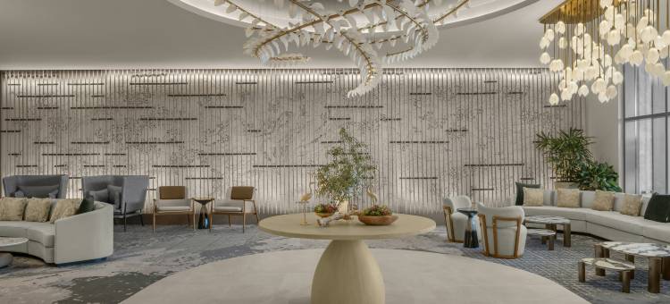 Hilton 杰克逊维尔梅奥诊所(Hilton Jacksonville at Mayo Clinic)图片