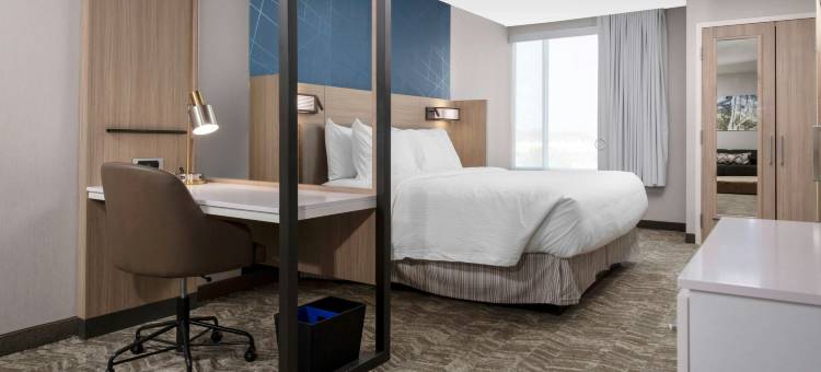 堪萨斯城机场SpringHill Suites酒店(SpringHill Suites Kansas City Airport)图片