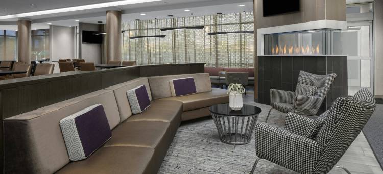 SpringHill套房由万豪酒店 东拉瑟福德梅多兰/卡尔斯塔特(SpringHill Suites East Rutherford Meadowlands/Carlstadt)图片
