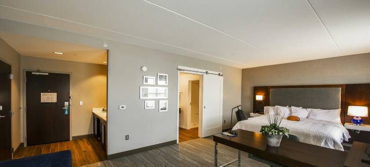福克斯伯勒曼斯菲尔德欢朋套房酒店(Hampton Inn & Suites Foxborough -Mansfield)图片