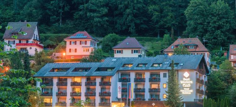 黑森林皇宫贝斯特韦斯特优质酒店(Best Western Plus Hotel Schwarzwald Residenz)图片