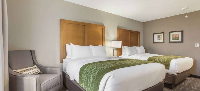 贾斯珀南部舒适酒店(Comfort Inn Jasper South)图片