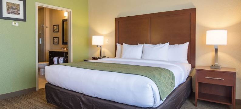 本顿维尔- 水晶桥舒适酒店(Comfort Inn Bentonville - Crystal Bridges)图片