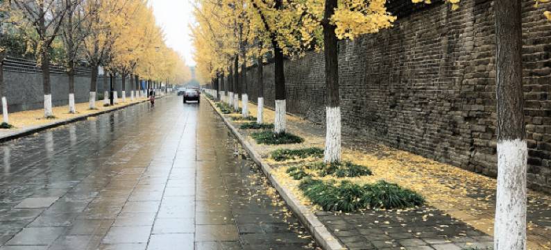 曲阜九夷居民宿图片