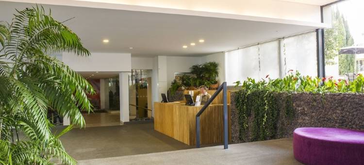 多丽索尔含羞草公寓酒店(Dorisol Mimosa Studio Hotel)图片