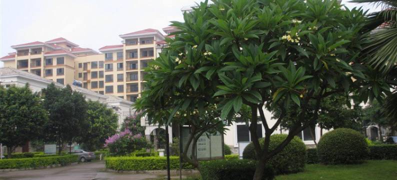 北海碧海湾家庭公寓图片