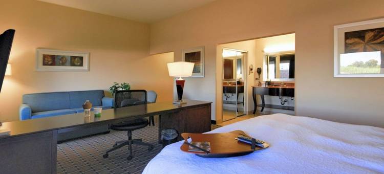 希尔顿欢朋套房酒店-新伊比利亚(Hampton Inn & Suites by Hilton New Iberia Avery Island)图片