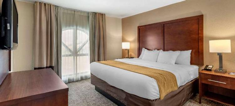 拉斐特I-65 舒适酒店(Comfort Inn Lafayette I-65)图片