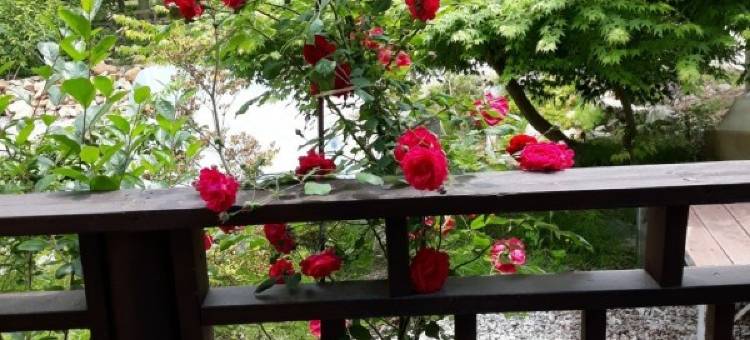Jangseong Forest Scent Pension图片