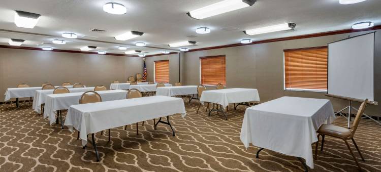 圣路易斯奥法伦舒适套房酒店(Comfort Inn & Suites St Louis-O'Fallon)图片