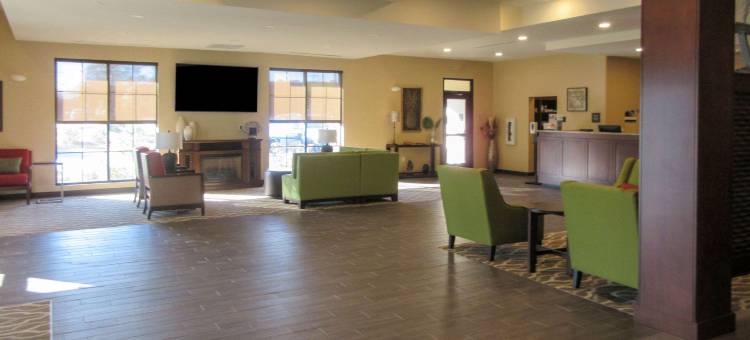 凯艺酒店(Comfort Suites)图片