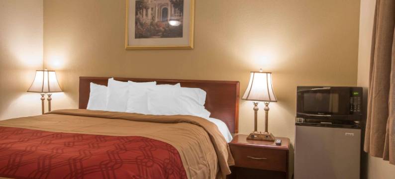 伊克诺酒店(Econo Lodge Manchester, VT)(Econo Lodge Manchester, VT)图片