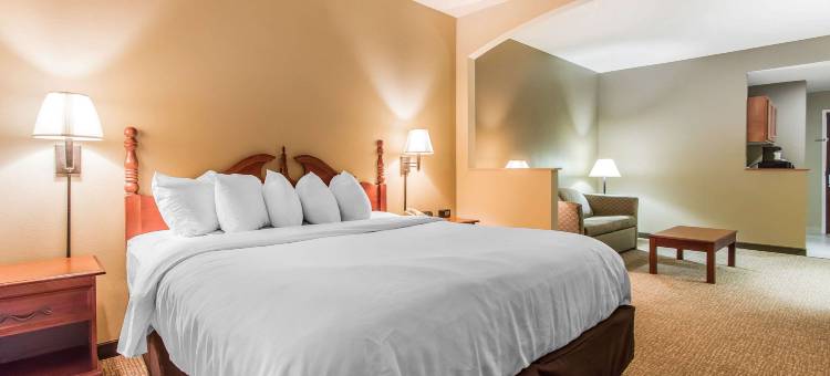 新伊比利亚品质套房酒店(Quality Suites New Iberia)图片