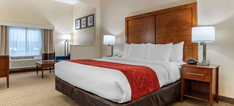 机场舒适套房酒店(Comfort Suites Airport)图片