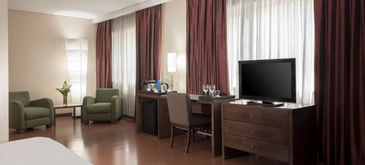 NH科迪勒拉酒店(NH Mendoza Cordillera)图片