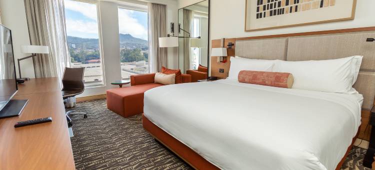 InterContinental Hotels 实特古西加尔巴(InterContinental Hotels Tegucigalpa at Multiplaza Mall)图片