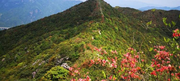 南昆山云竹苑度假山庄图片