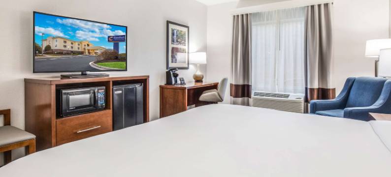 舒适套房酒店(Comfort Inn & Suites)图片