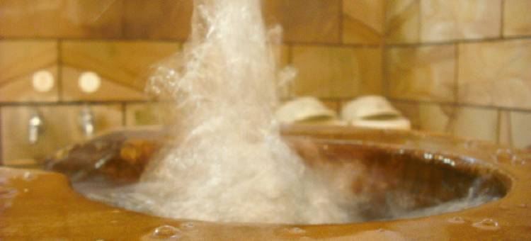 佐久酒店(Saku Hotel   Onsen (Hot Spring))图片