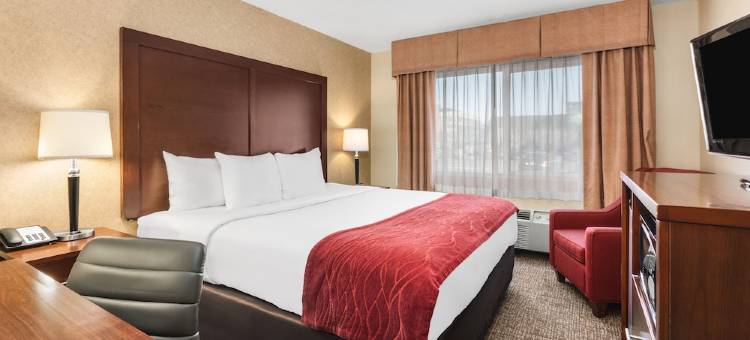 温馨酒店及套房温哥华市中心(Comfort Inn & Suites Vancouver Downtown City Center)图片