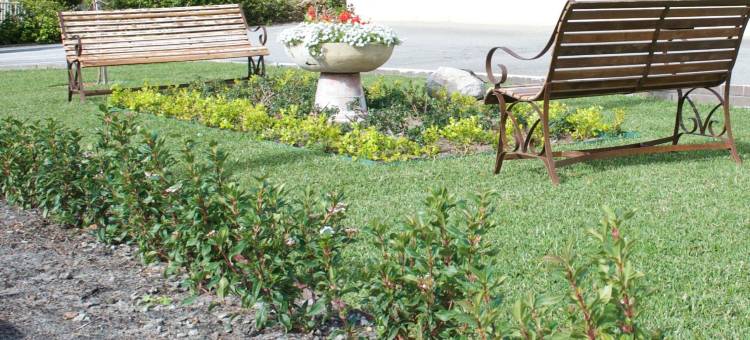 SureStay Hotel by Best Western the Clarence on Melville图片