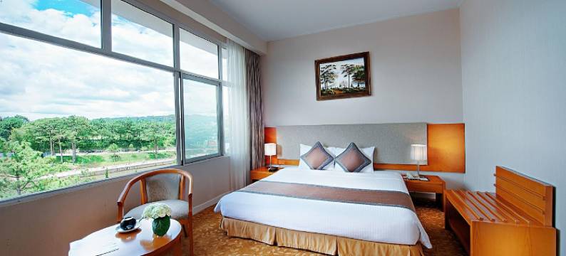 大叻曼青酒店(Muong Thanh Holiday Da Lat Hotel)图片