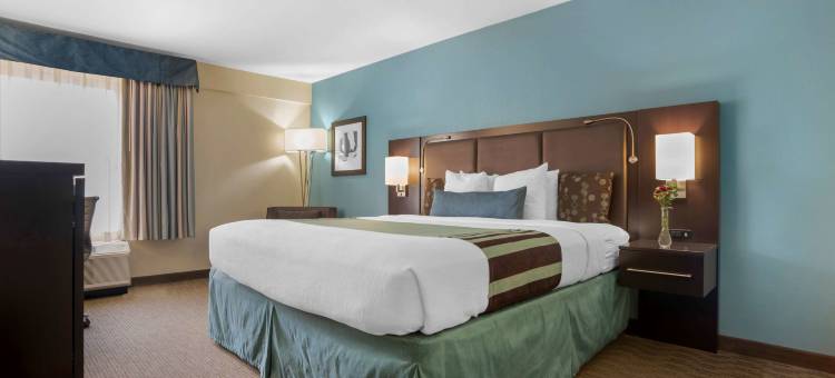 塔拉哈西北贝斯特韦斯特优质酒店(Best Western Plus Tallahassee North Hotel)图片