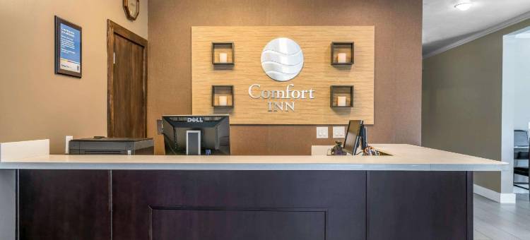 莱西舒适酒店(Comfort Inn Lacey - Olympia)图片