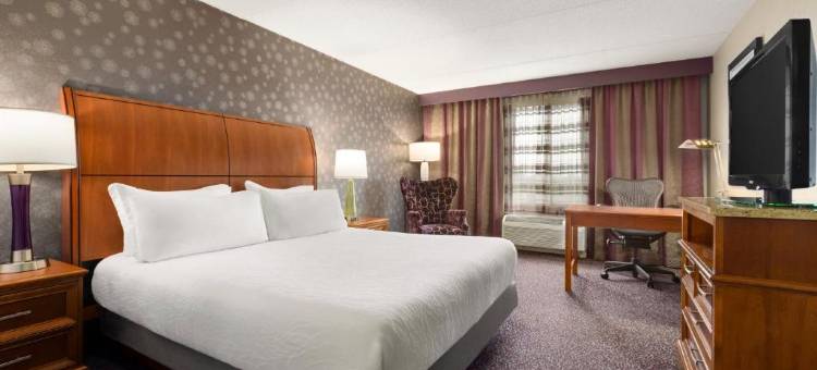 斯普林菲尔德希尔顿花园旅馆(Hilton Garden Inn Springfield, MA)图片