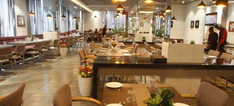 基尼斯塔酒店(Hotel Genista Inn)图片