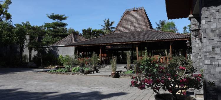 阿马塔婆罗浮屠度假村(Amata Borobudur Resort)图片