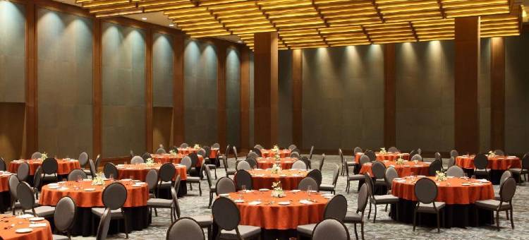 艾哈迈达巴德凯悦酒店(Hyatt Regency Ahmedabad)图片