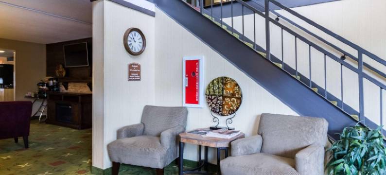 梅奥诊所区品质套房酒店(Quality Inn & Suites Mayo Clinic Area)图片