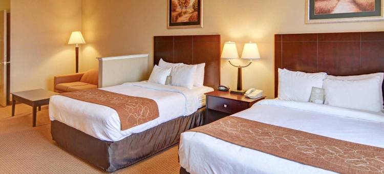 罗阿诺克-北沃斯堡舒适全套房酒店(Comfort Suites Roanoke - Fort Worth North)图片