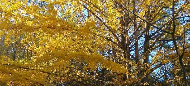 腾冲丽婷农家乐图片