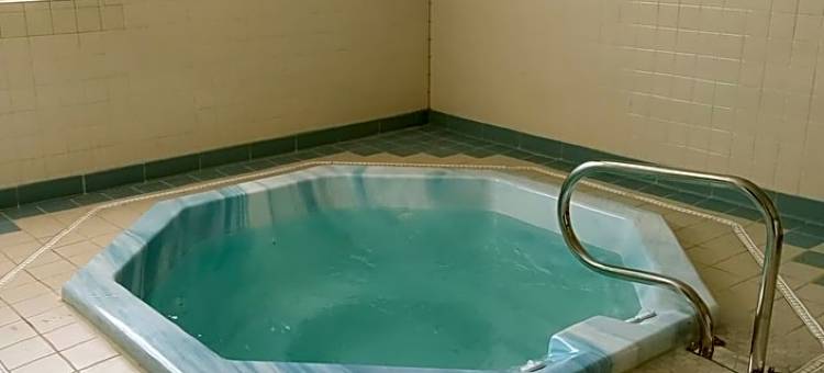 拉维什套房旅馆(Lavissh Inn and Suites)图片