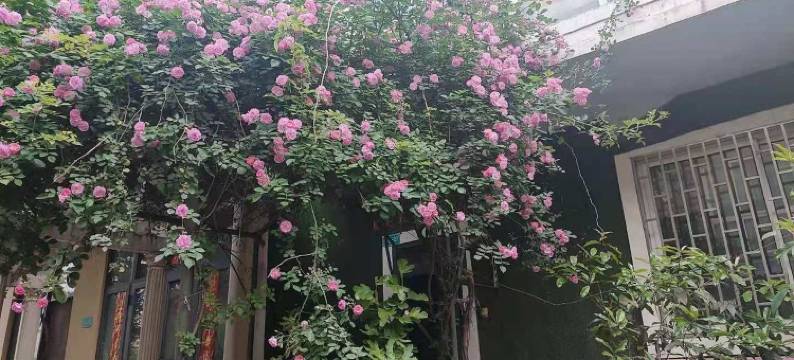 悠家开封店710公寓(金明大道分店)图片