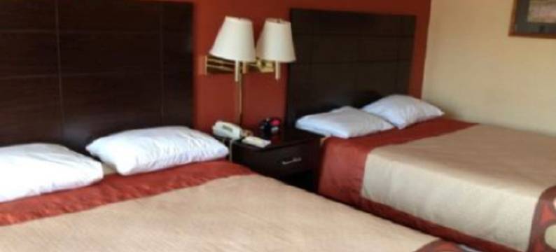 沃斯堡北速8酒店(Super 8 by Wyndham Fort Worth North)图片