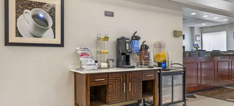 阿尔法利塔-亚特兰大北舒适酒店(Comfort Inn Alpharetta-Atlanta North)图片