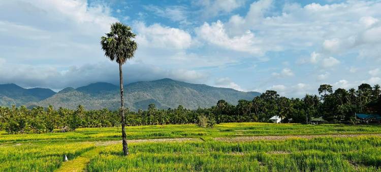 陈春之家(Chan Chun Home)图片