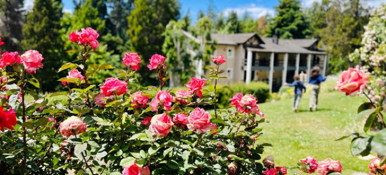 阿尔代亚安迪娜酒店与温泉(Aldea Andina Hotel&Spa)图片