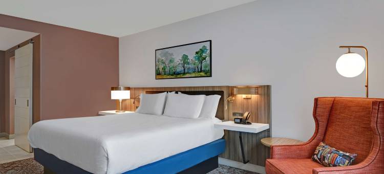 希尔顿花园酒店麦迪逊亨茨维尔机场(Hilton Garden Inn Madison Huntsville Airport)图片