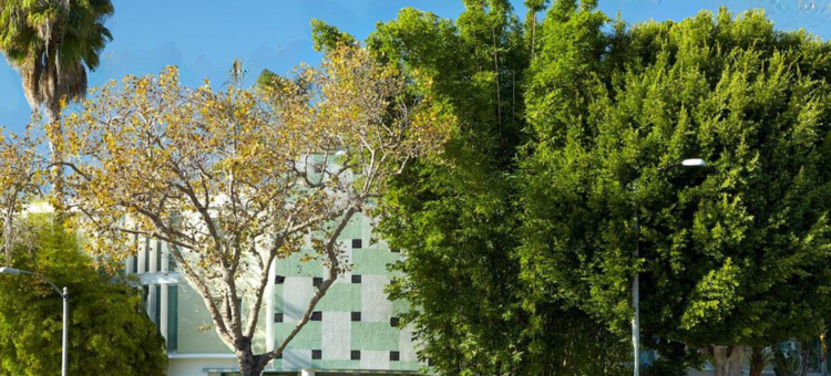 比佛利山阿瓦隆酒店，设计酒店旗下(Avalon Hotel Beverly Hills, a Member of Design Hotels)图片