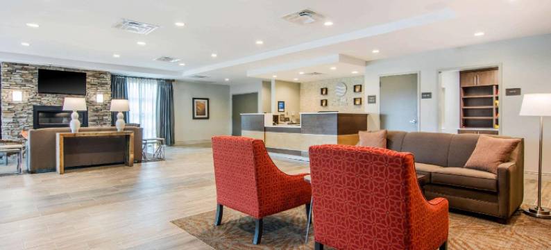 舒适套房旅馆(Comfort Inn & Suites East Ellijay)图片