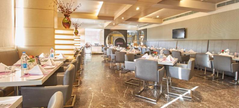 皇家兰花中央阿寇塔酒店 - 瓦多达拉(Royal Orchid Central Akota - Vadodara)图片